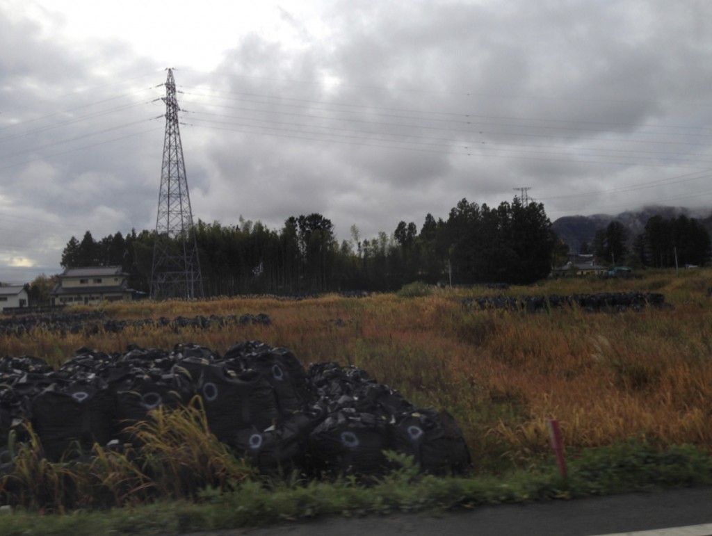 [Image 2. The Difficult-to-Return Zone, November 10, 2015, Fukushima Prefecture, Japan.]