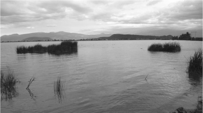 Lake Chalco. Image author: Oliver Santana, source: http://muac.unam.mx/