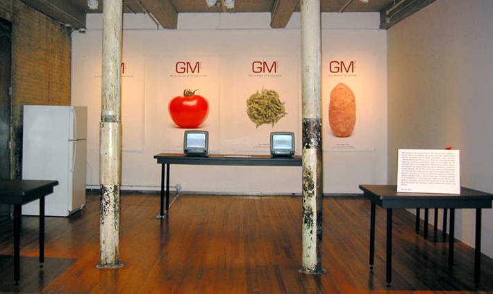 Illustration 10. Critical Art Ensemble’s mostly empty installation at MASS MoCA following the confiscation of their project by the FBI. An explanatory panel by the museum is visible to the right of the image (2004).
